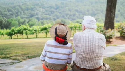 An elderly couple sitting watching the beautiful, bright green landscape in front of them.