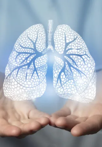An illustration of lungs.