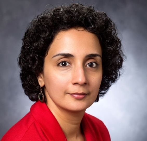 Dr. Jayawardhana smiling at the camera with a red blouse and gray portrait background