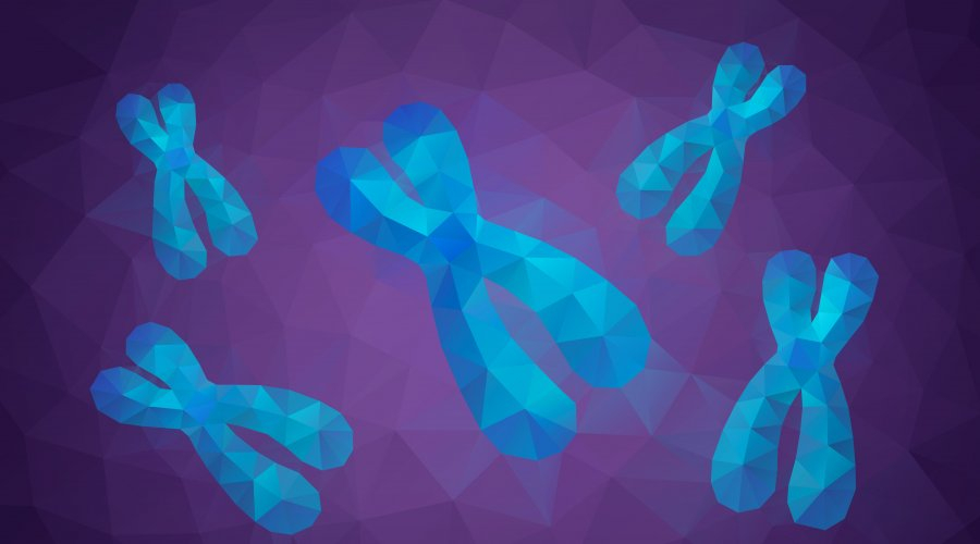 Chromosomes on a purple background.