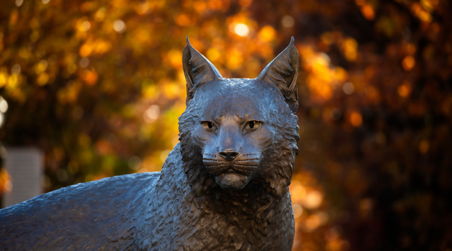 Wildcat statue