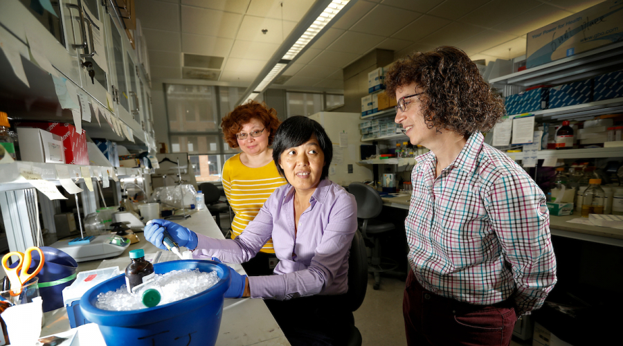 three researchers near each other in a laboratory
