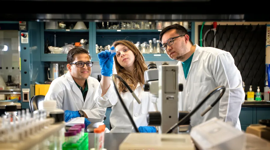 3 researchers examining a specimen or result; laboratory equipment in foreground and background