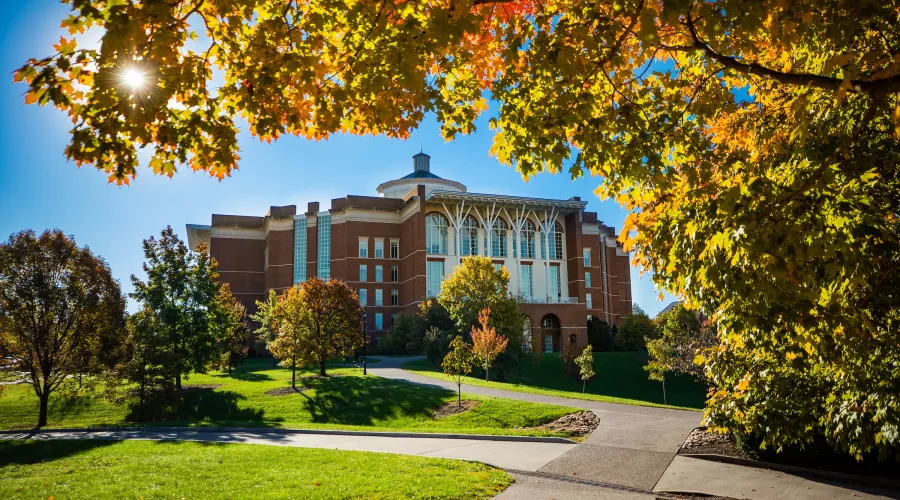 William T Young library