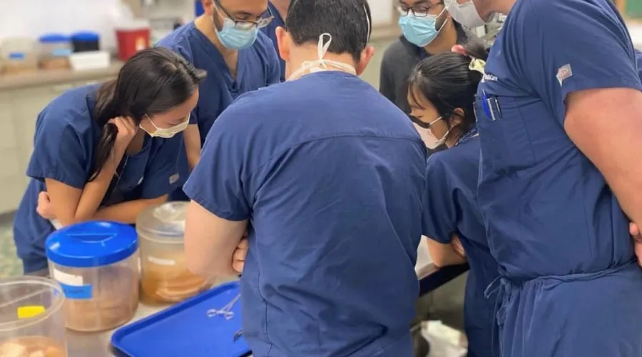 anatomy lab