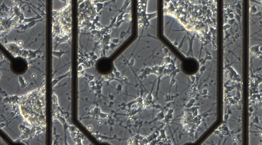 Microelectrode technology