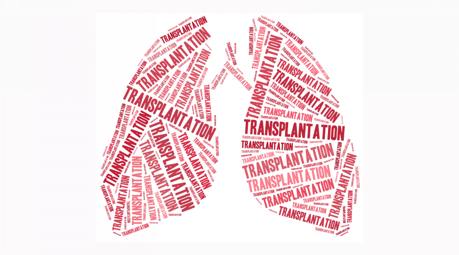 outline of lungs with the word "transplantation" all over the lungs