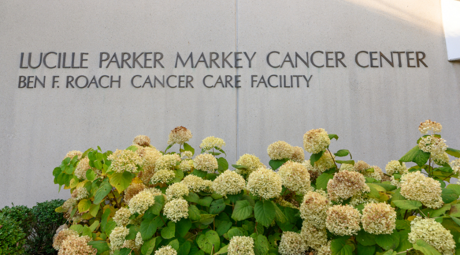 outside of markey cancer center