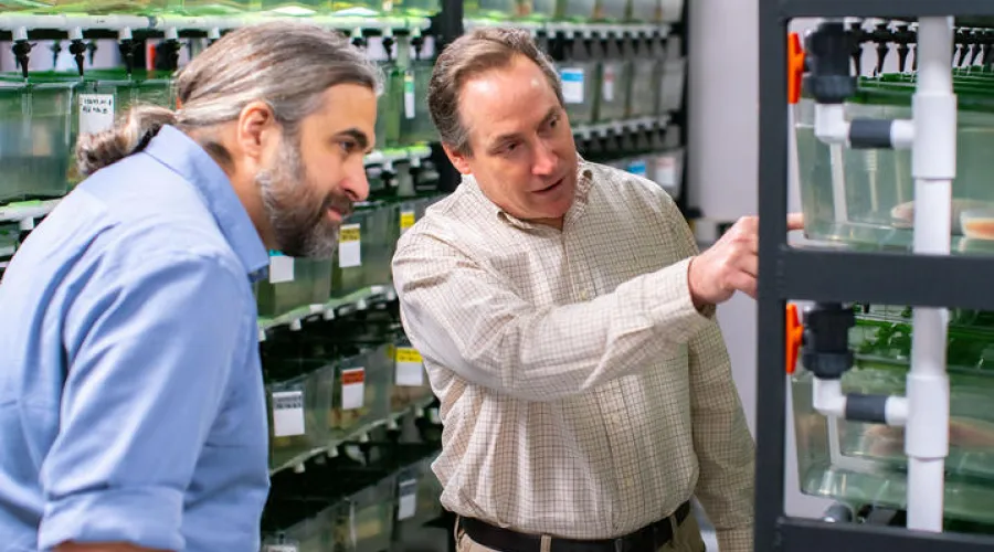 researchers randall voss and jeremiah smith