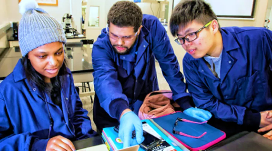 undergraduate students conducting research in a lab