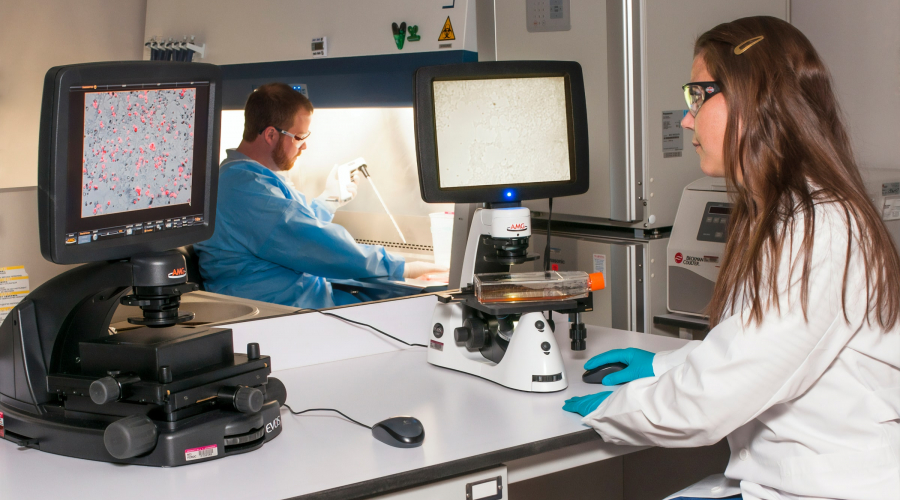 A technician viewing a blot on a fluorescence microscope while another technician is using a pipette