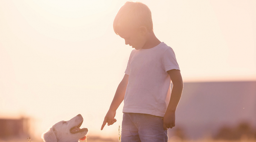 kid and dog standing in a field at sunset