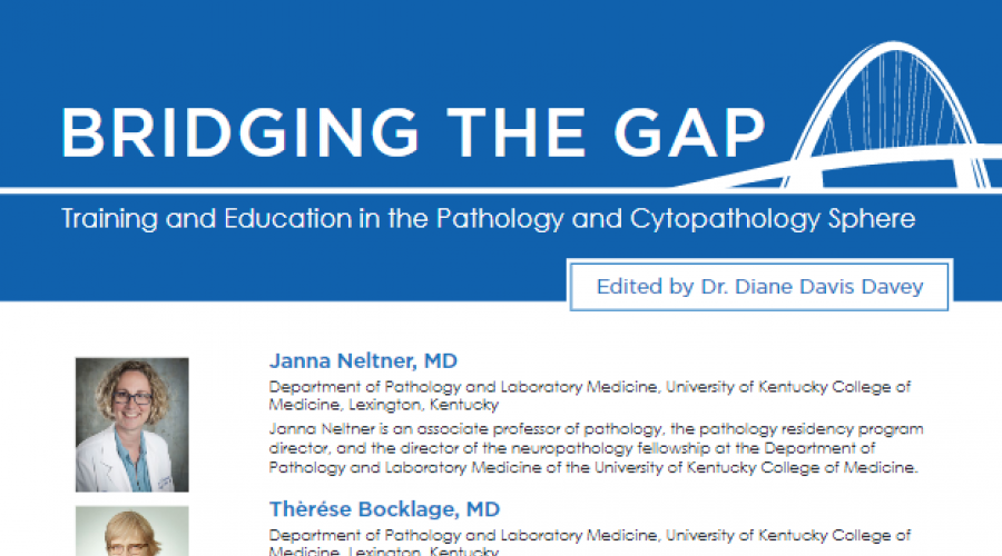 Screenshot of Bridging the Gap article. Click below to read the article.