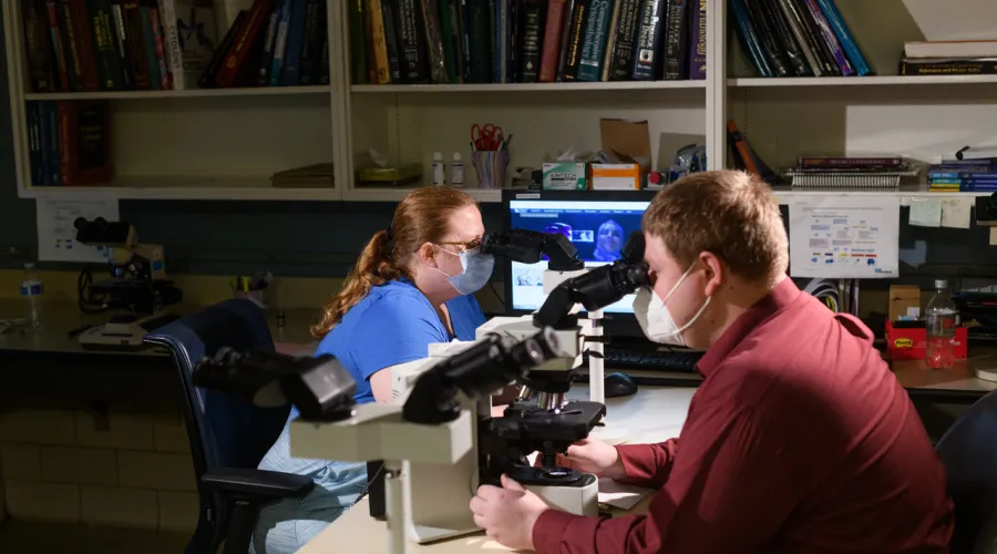 two researchers sitting across from each other; both looking at microscopes