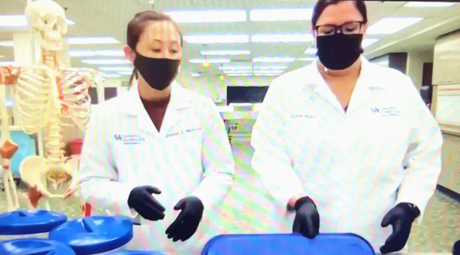 Students working in the laboratory