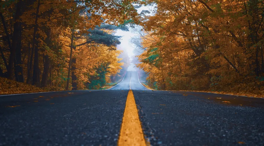 Road in autumn