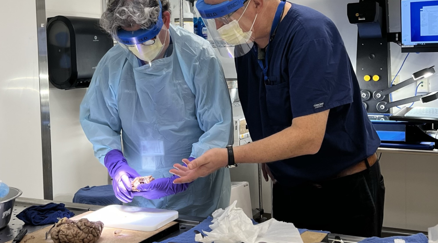 Dr. Pete Nelson teaches PGY1 JB Bradley during a brain dissection.