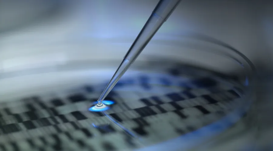 A petri dish is filled with clear liquid. An out of frame person touched this liquid with a pipette