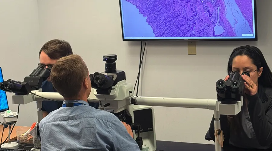 Students working in a lab room with microscopes. A tv on the back wall shows a magnification of a cell.