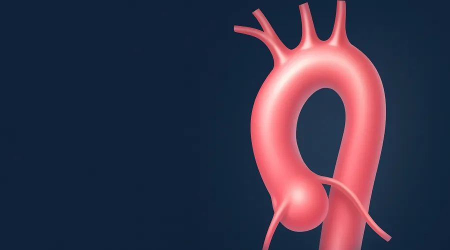 illustration graphic of a pink aorta against a dark blue background