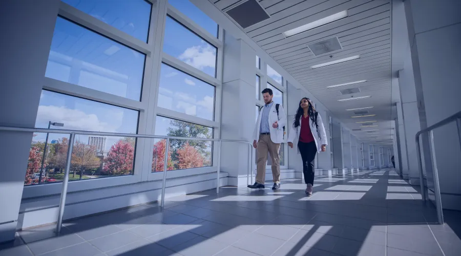 students walking through a bridge with a blue overlay