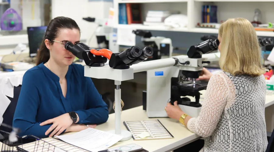 Looking through microscope