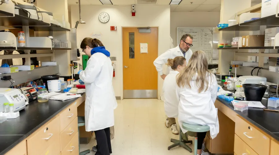 Several people in lab coats work and discuss research together in a microbiology laboratory.