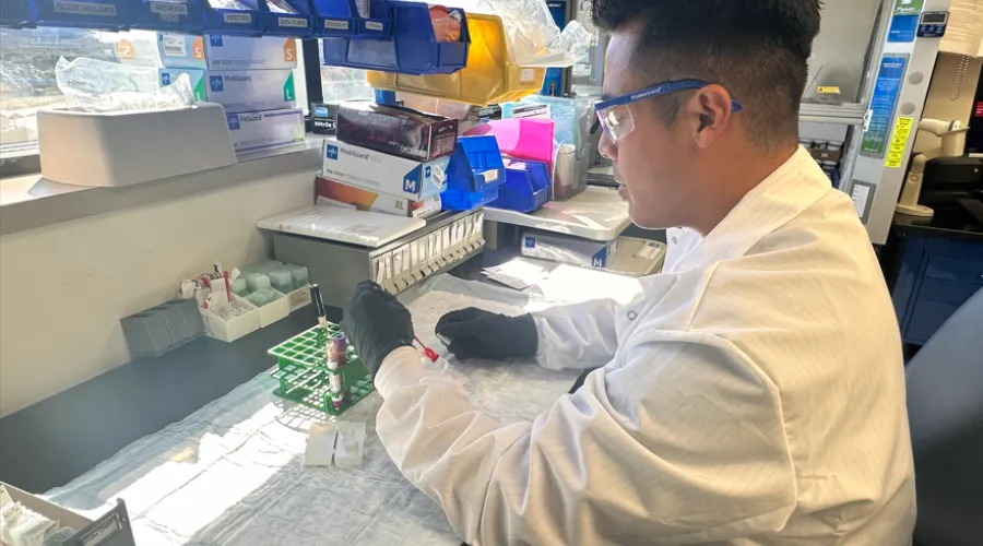 Lab Tech completing blood smear