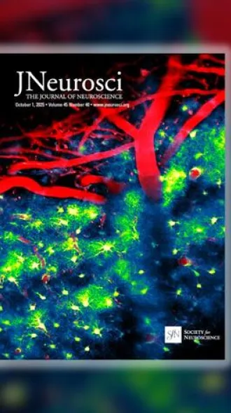 The cover image of The Journal of Neuroscience.