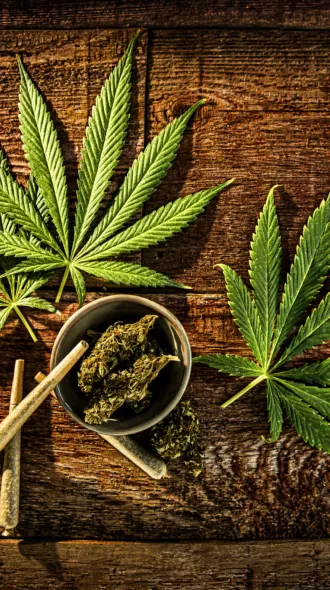 Top-down view of several green cannabis leaves arranged on a rustic wooden table.
