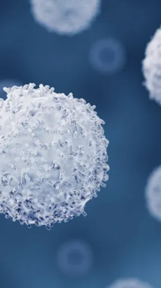 Close-up microscopic-style image of multiple round, textured white cell-like structures suspended against a dark blue background. A large spherical structure is in sharp focus near the center, while others appear at varying sizes and depths.